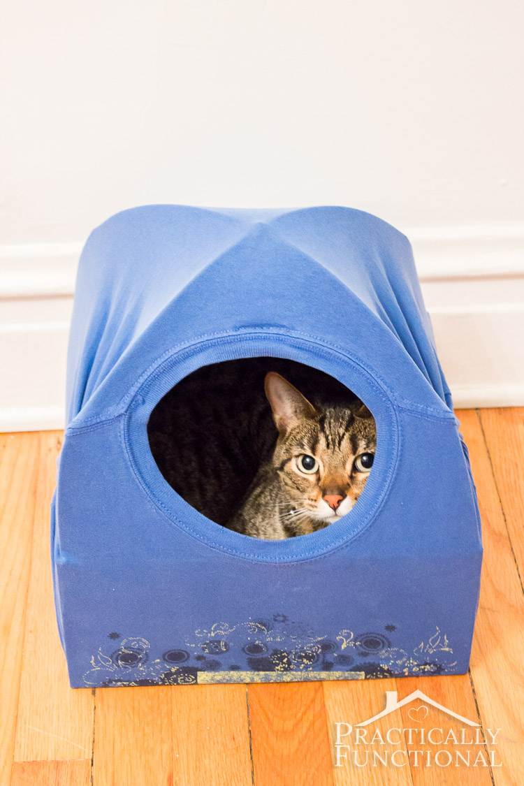 DIY Cat Tent Bed: All you need is a box, a t-shirt, and two wire coat hangers!
