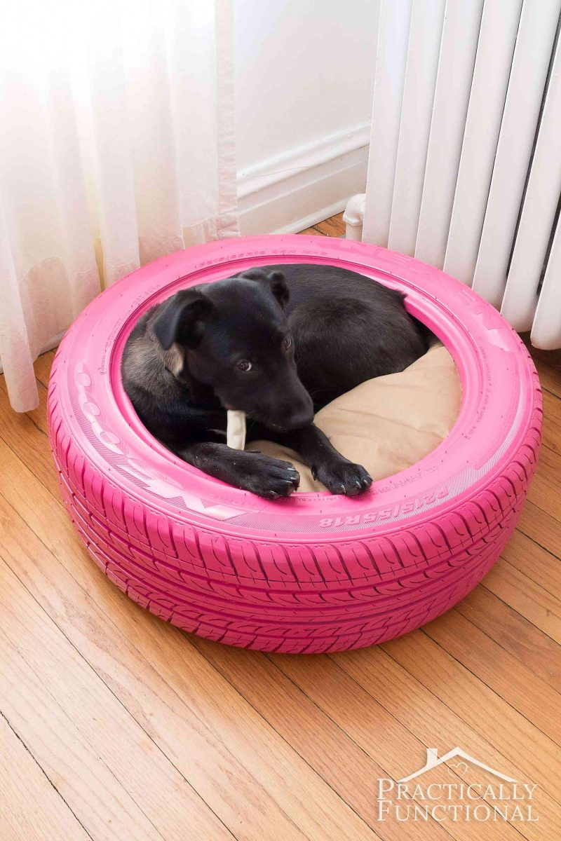Recycle a tire into a DIY dog bed