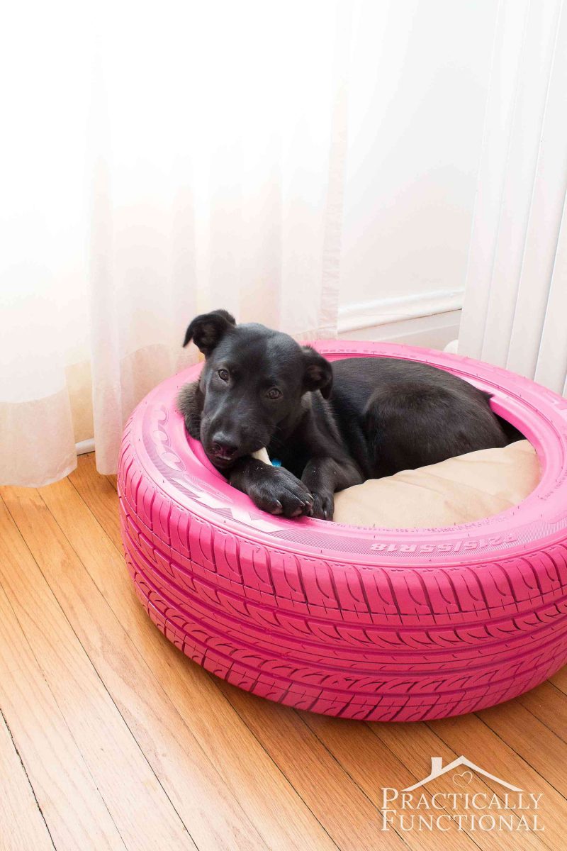 Recycle a tire into a DIY dog bed