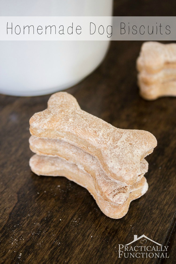 Make your own homemade dog biscuit treats with just a few ingredients you already have in your pantry!