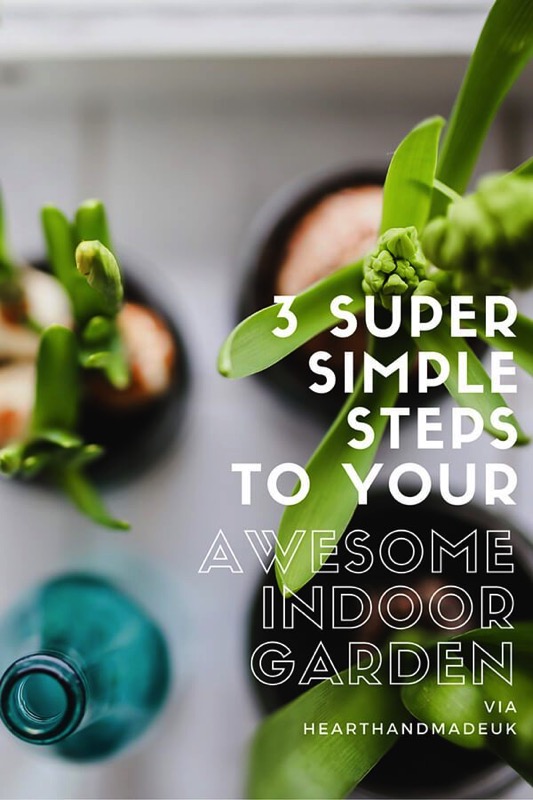 3 super simple steps to your awesome indoor garden - and 11 other festive DIY spring projects!