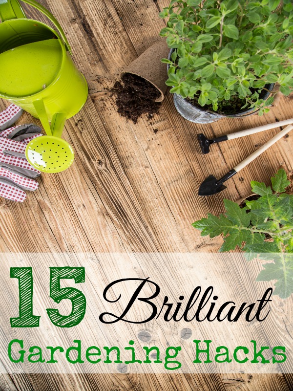 15 brilliant gardening hacks - and ten other amazing DIY outdoor projects to try this spring!