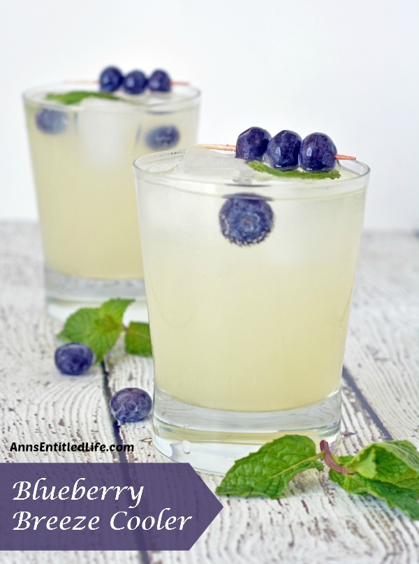 Blueberry breeze cooler recipe - and 15 other delicious summer drink recipes!