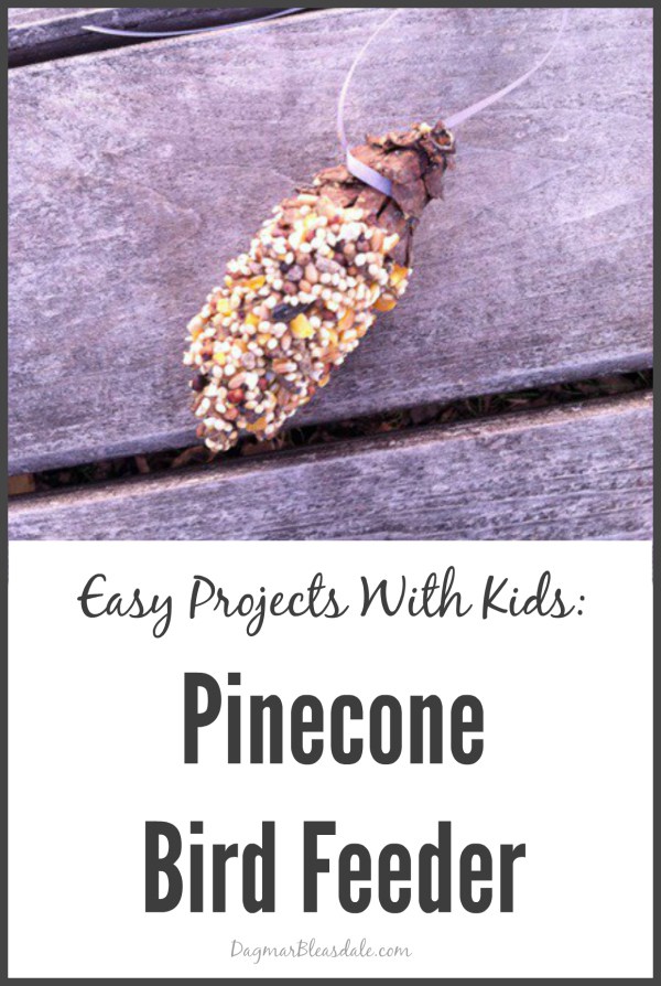 Pinecone bird feeder - and 13 other simple DIY outdoor weekend projects!