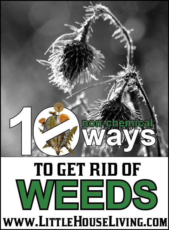 10 non-chemical ways to get rid of weeds - and 13 other simple DIY outdoor weekend projects!