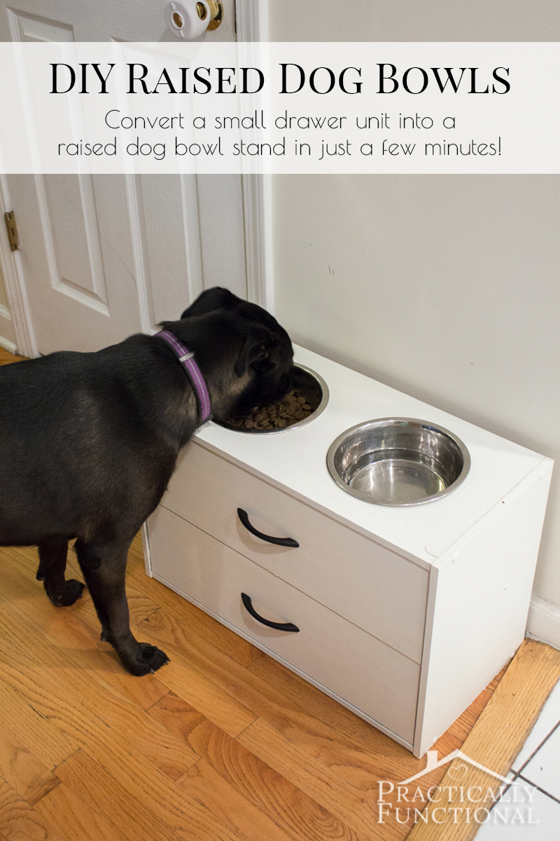 Turn a small dresser into a DIY raised dog bowl stand just by cutting two holes in the top! It takes less than half an hour and all you need is a jigsaw!
