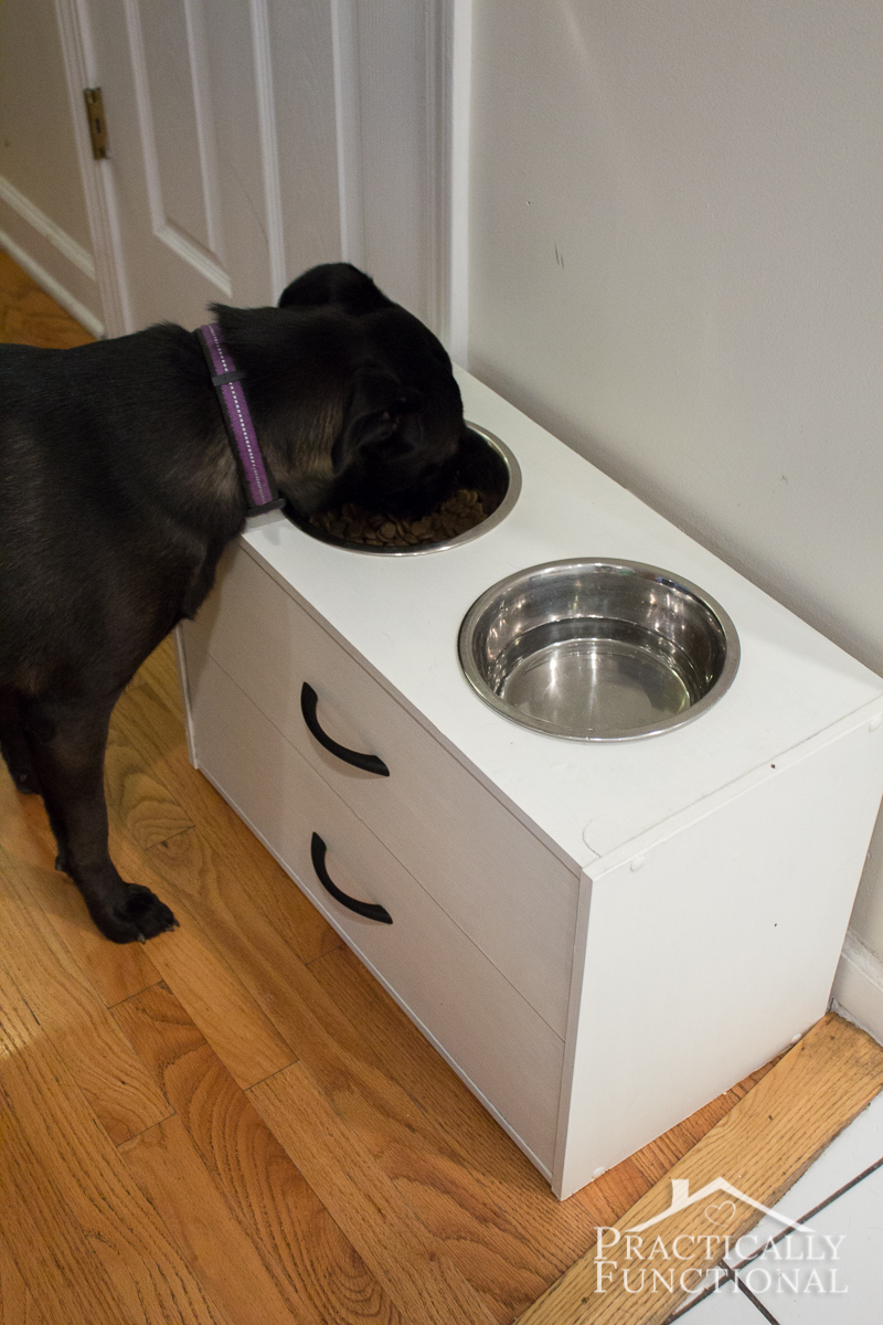 Turn a small dresser into a simple DIY raised dog bowl stand in just a few minutes; all you need is a jigsaw!