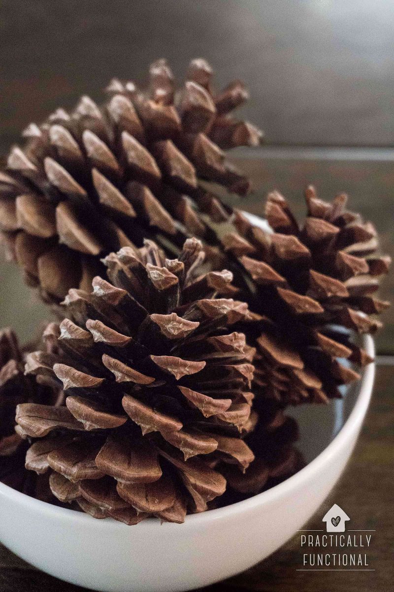 How To Make Cinnamon Scented Pinecones