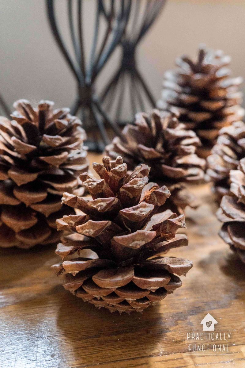 How To Make Cinnamon Scented Pinecones